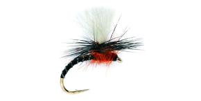 Flexi Black & Flexi Olive