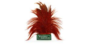 Ewing Rooster Saddle