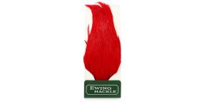 Ewing Rooster Cape