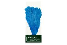 Ewing Hen Cape