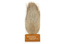 Ewing Dry Fly Cape